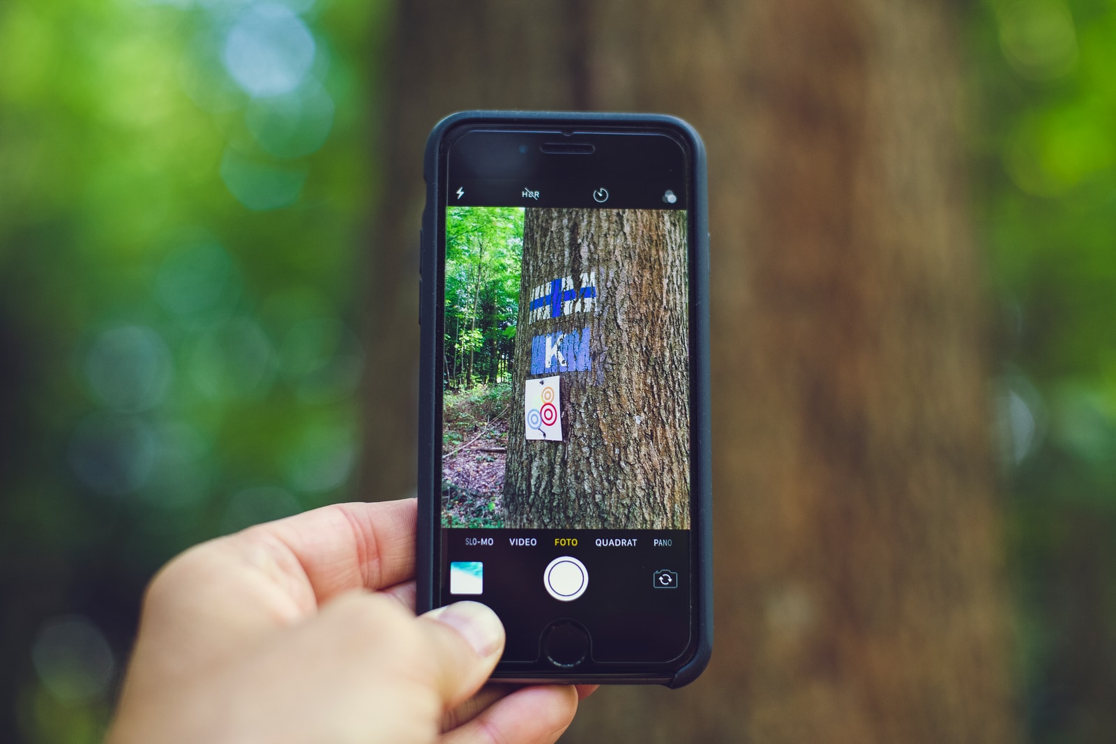 person taking photo of tree using space gray iPhone 6