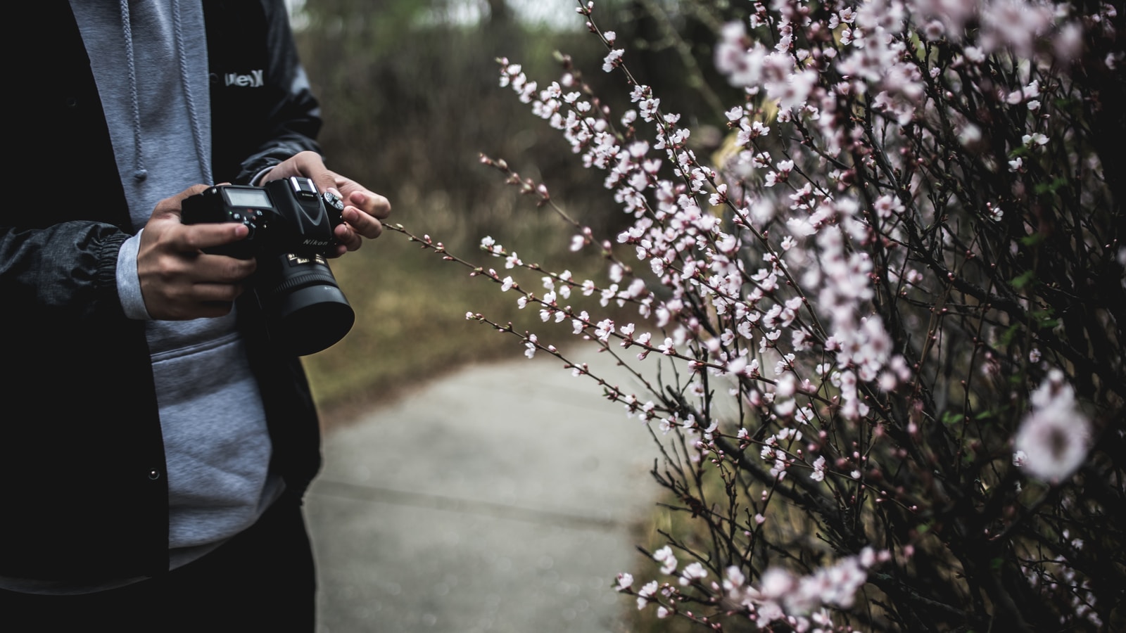 person holding black camera beside white flowers