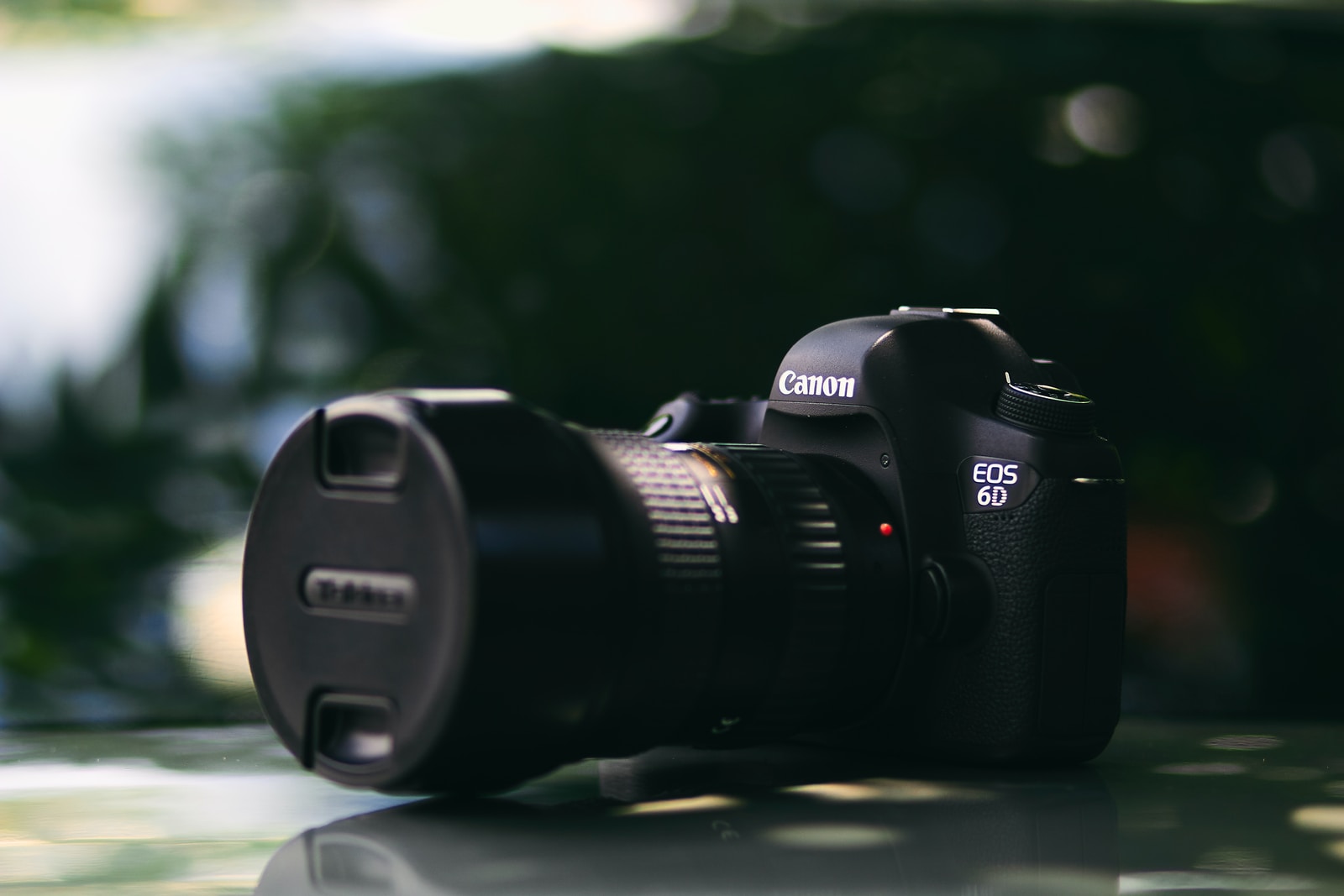selective focus photography of Canon EOS 6D