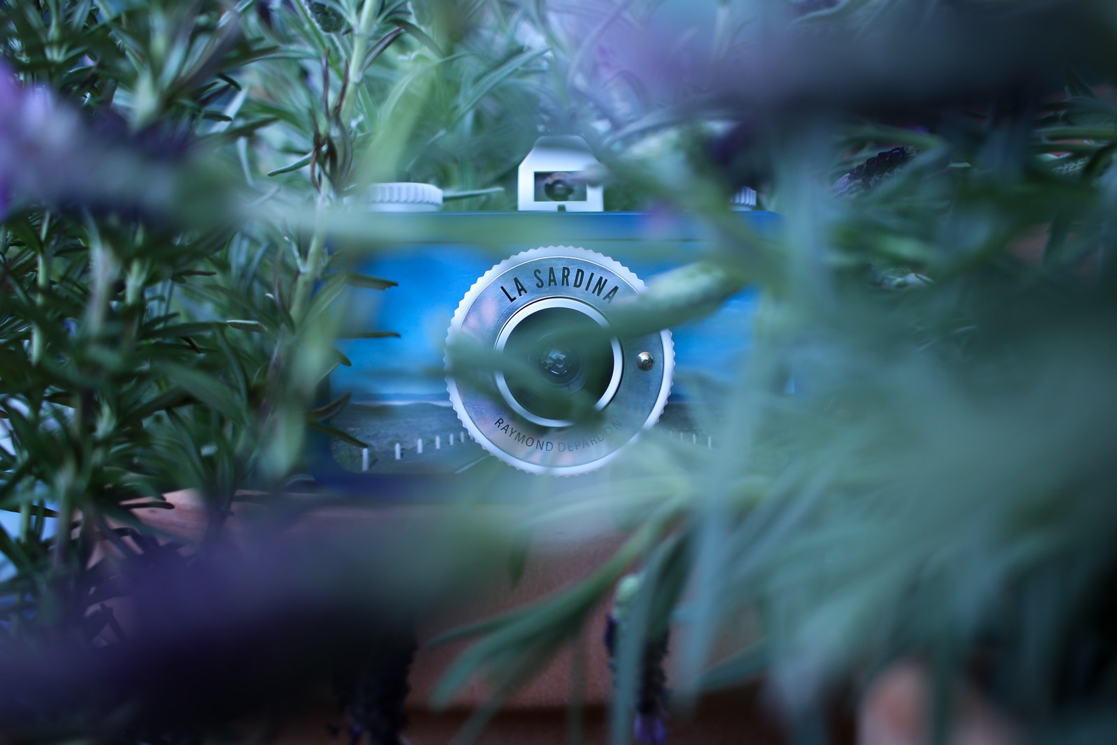 green plant with white and blue light
