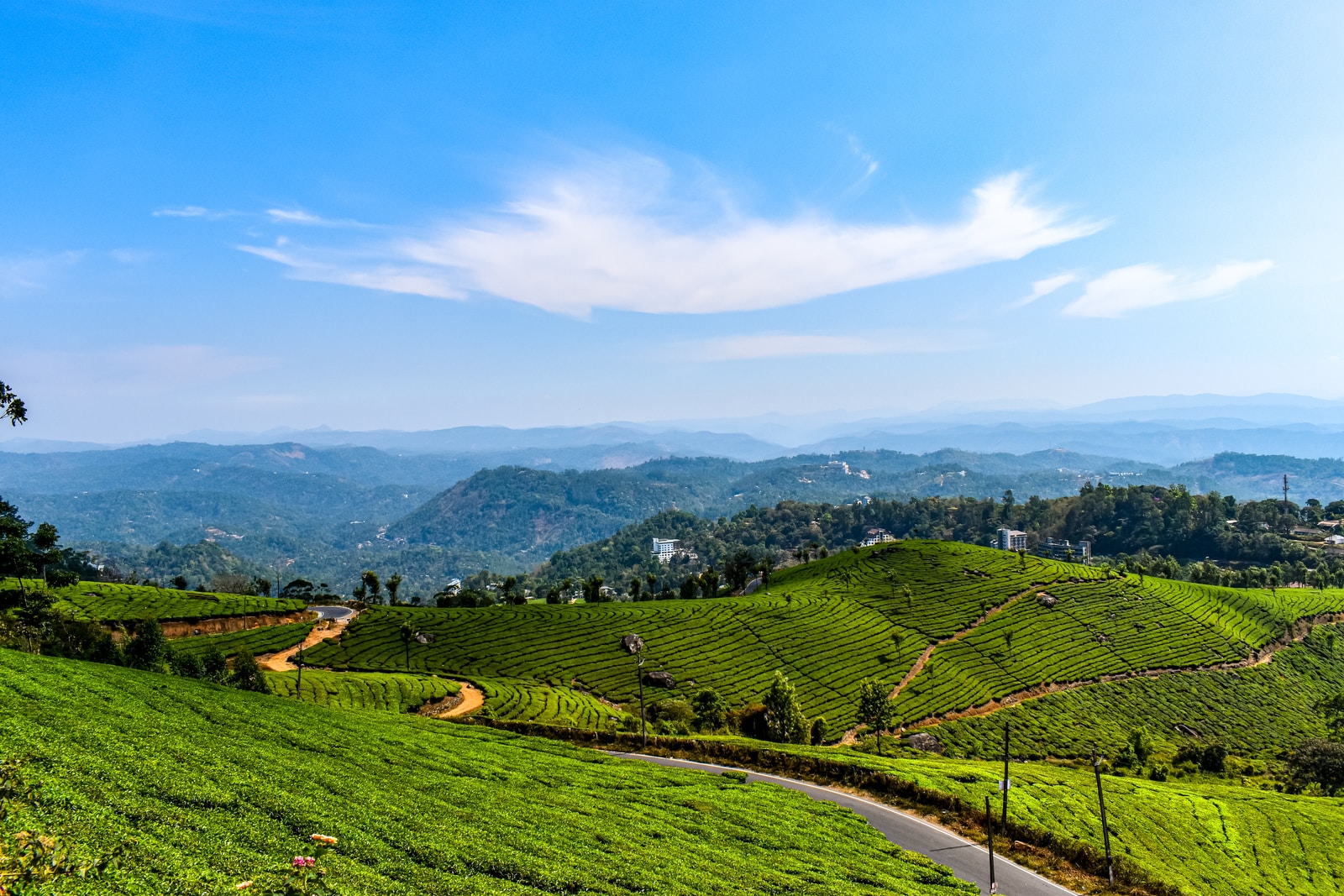 green grass field near mountain under blue sky during daytime