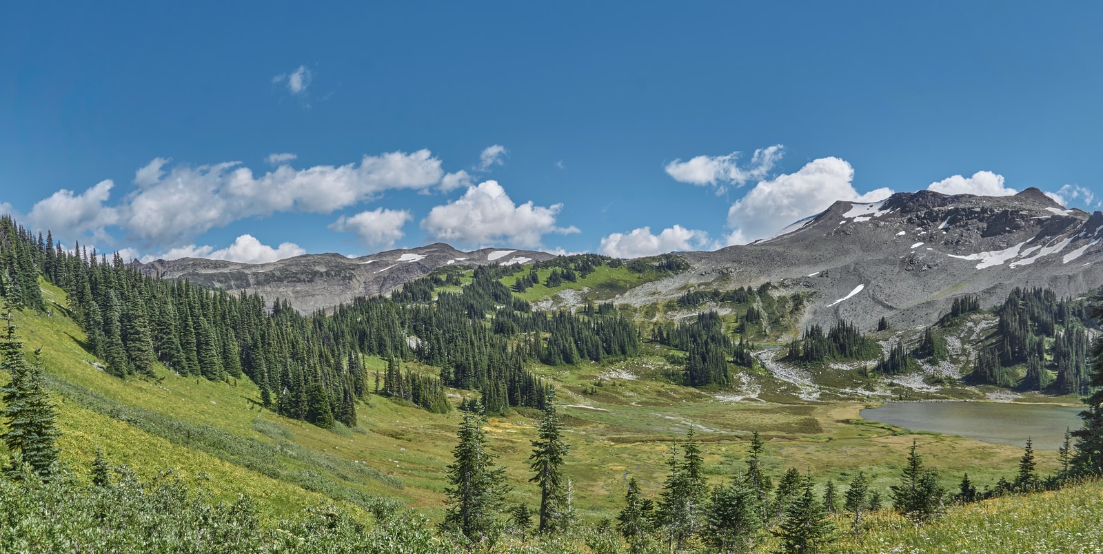 green trees on mountain under blue sky during daytime