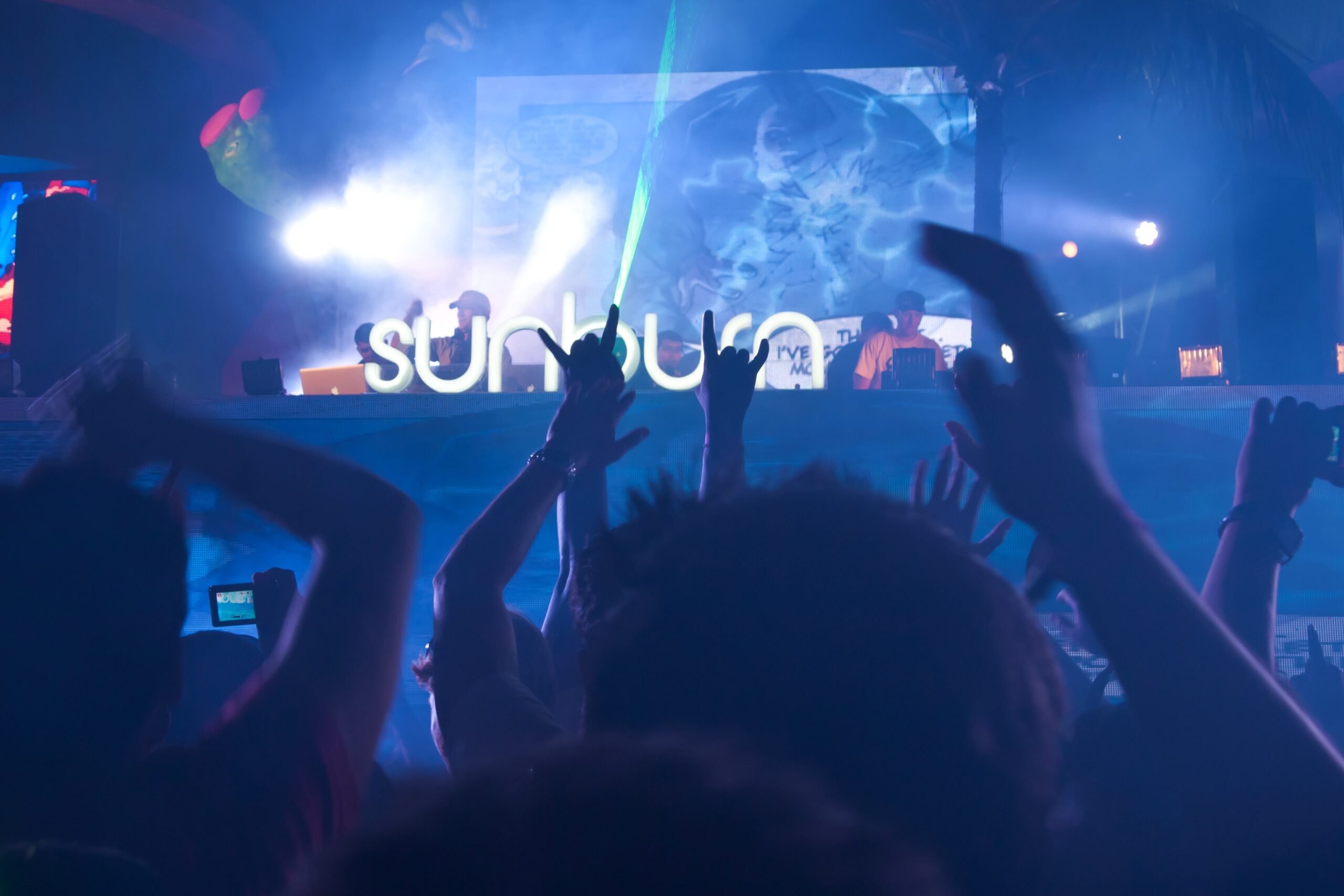 Sunburn Festival